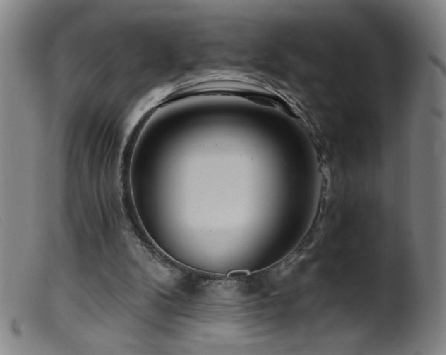 X0000099540104200805161437