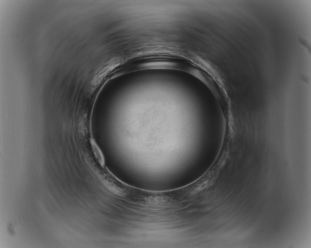 X0000099540105200805161437