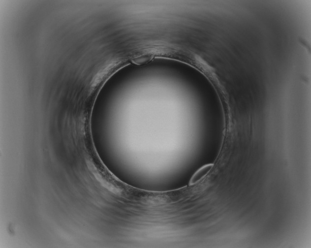 X0000099540106200805161437