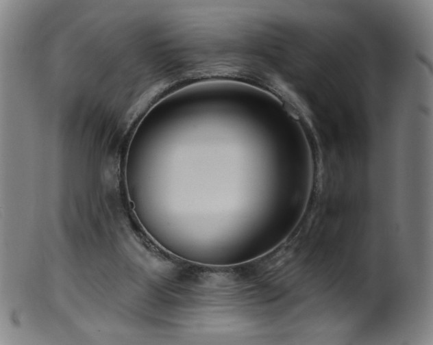 X0000099540107200805161437