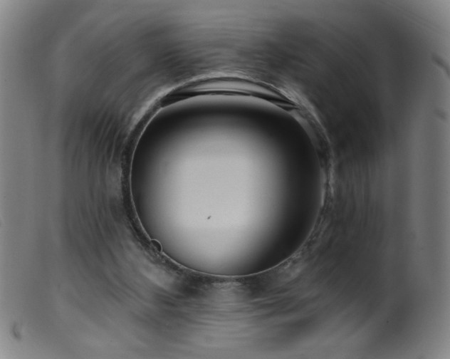 X0000099540108200805161437