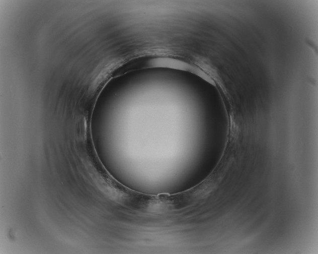 X0000099540109200805161437