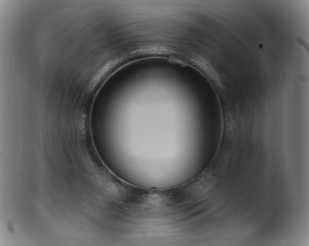 X0000099540111200805161437