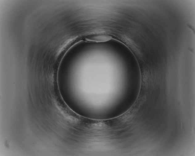 X0000099540112200805161437