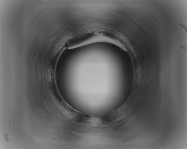 X0000099540114200805161437