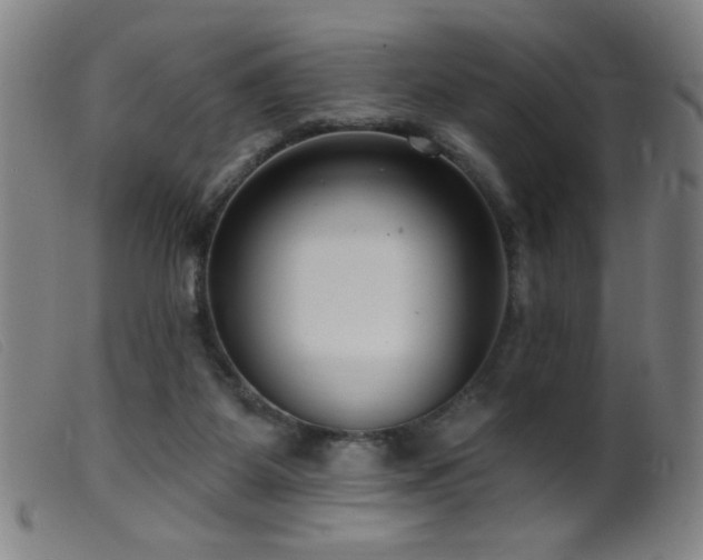 X0000099540115200805161437