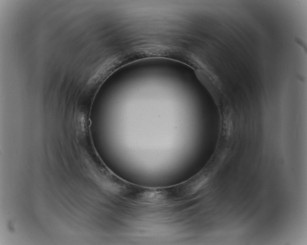 X0000099540117200805161437