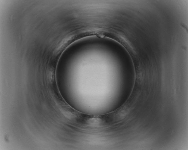 X0000099540119200805161437