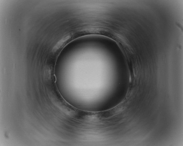 X0000099540120200805161437