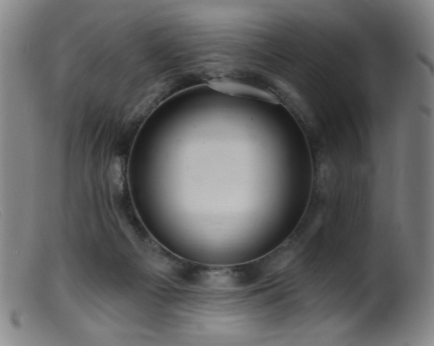 X0000099540121200805161437