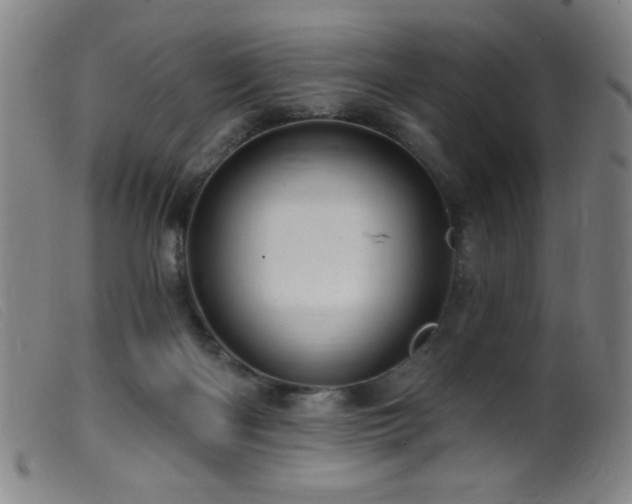 X0000099540122200805161437