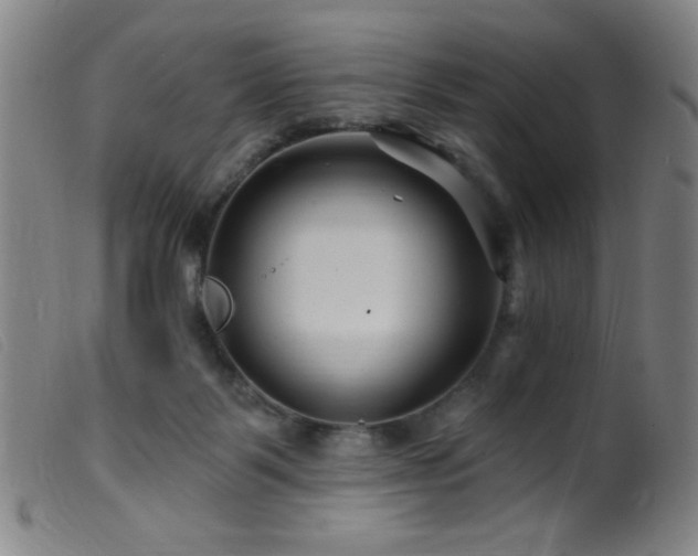 X0000099540123200805161437