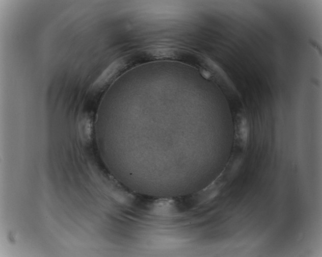 X0000099540124200805161437