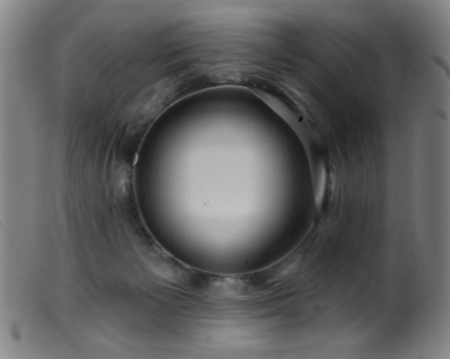 X0000099540125200805161437