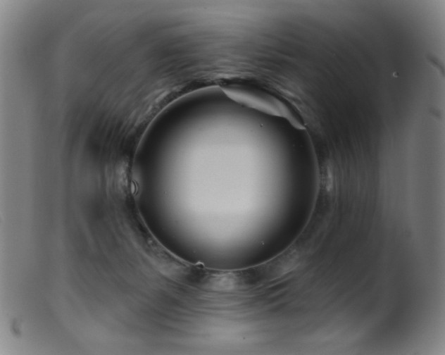 X0000099540127200805161437