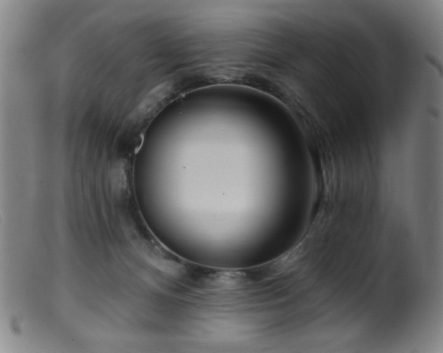 X0000099540128200805161437