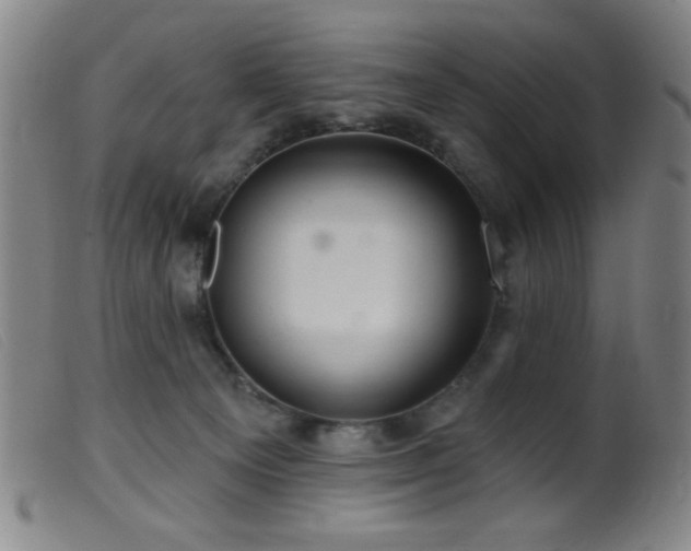 X0000099540129200805161437