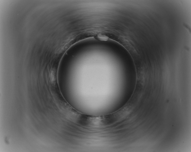 X0000099540131200805161437