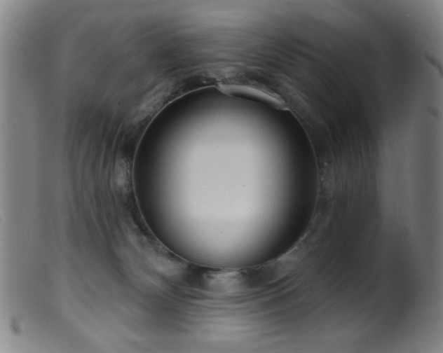 X0000099540132200805161437