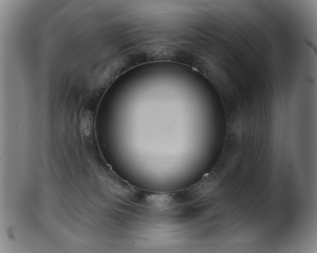 X0000099540133200805161437