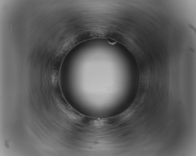 X0000099540134200805161437