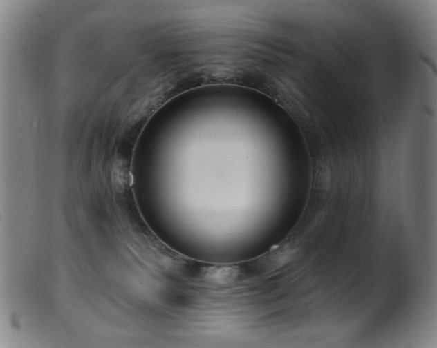 X0000099540135200805161437