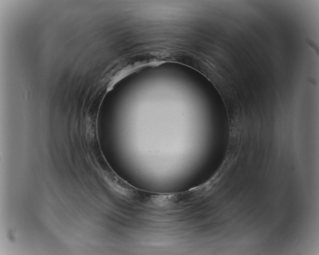 X0000099540136200805161437