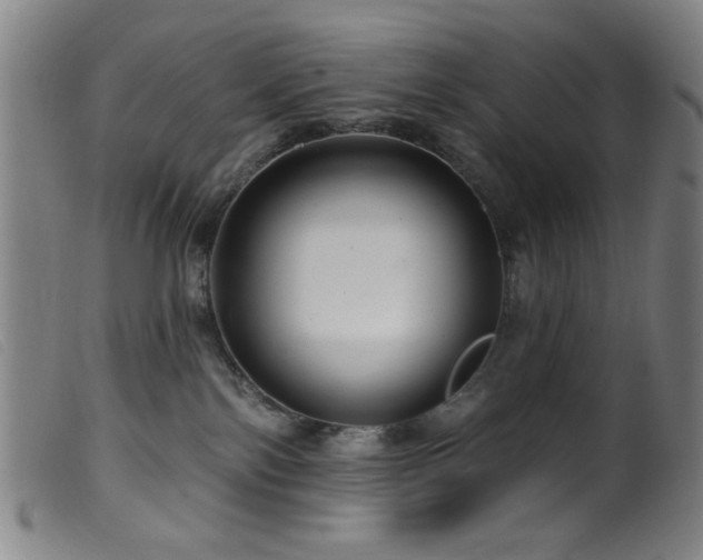 X0000099540138200805161437