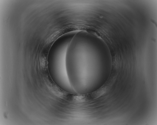 X0000099540139200805161437