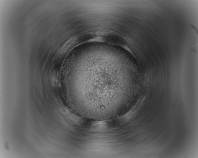 X0000099540140200805161437