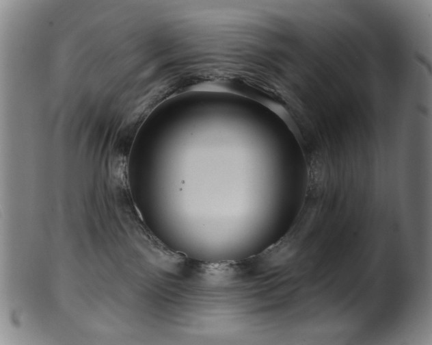 X0000099540141200805161437