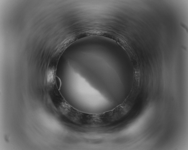 X0000099540143200805161437