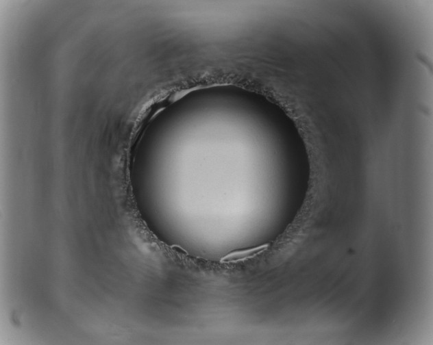 X0000099540144200805161437