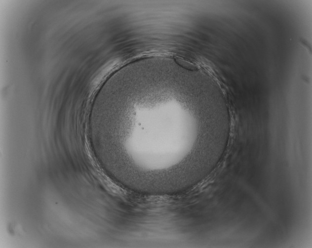 X0000099540145200805161436