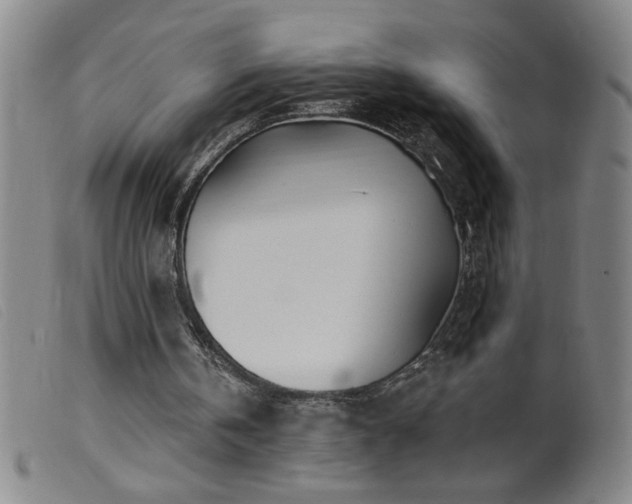 X0000099540146200805161436