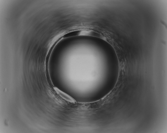 X0000099540148200805161436