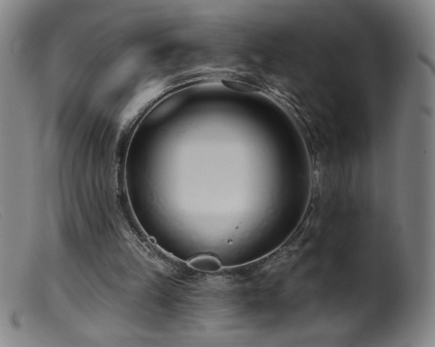 X0000099540149200805161436