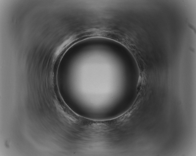 X0000099540150200805161436