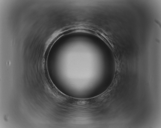 X0000099540152200805161436