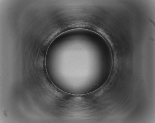 X0000099540153200805161436