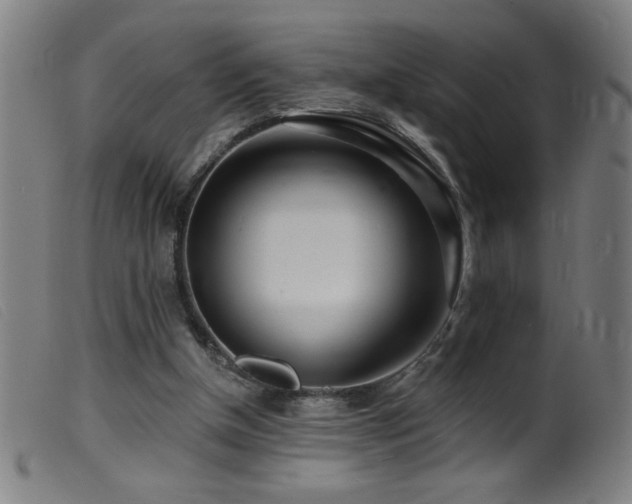 X0000099540154200805161436