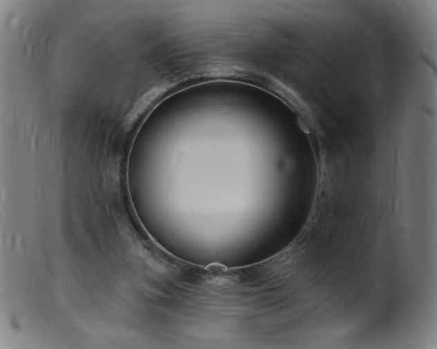 X0000099540155200805161436