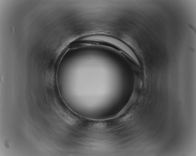 X0000099540156200805161436