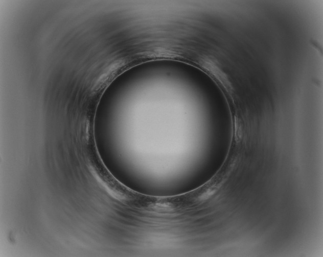 X0000099540157200805161436