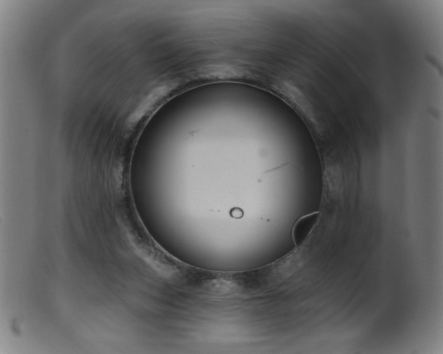 X0000099540159200805161436