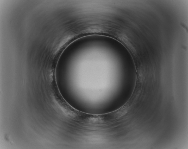 X0000099540160200805161436