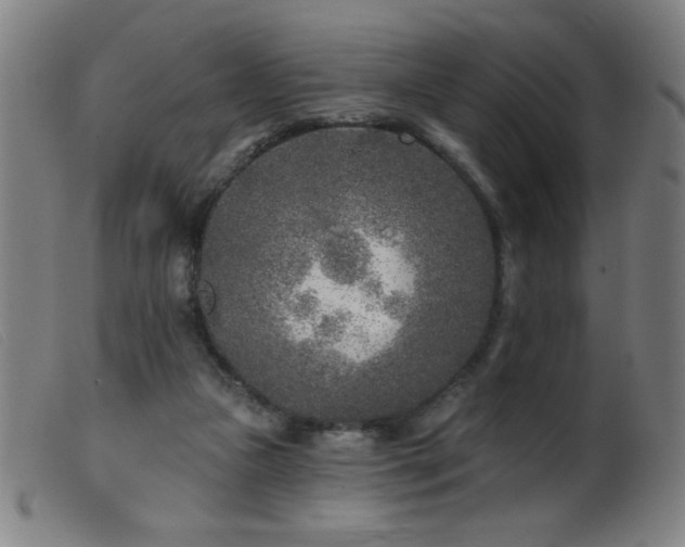 X0000099540161200805161436