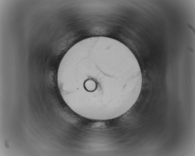 X0000099540162200805161436