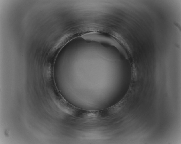 X0000099540163200805161436