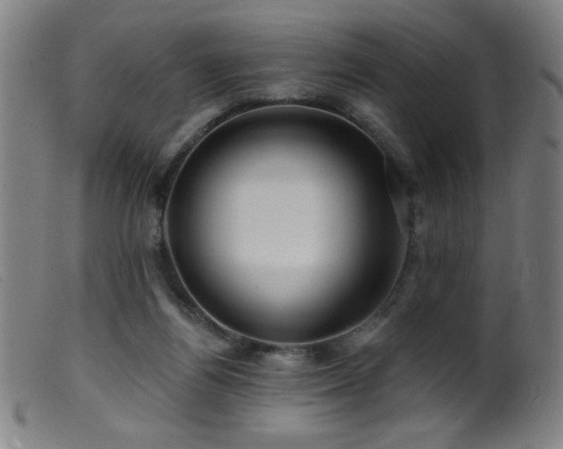 X0000099540164200805161436